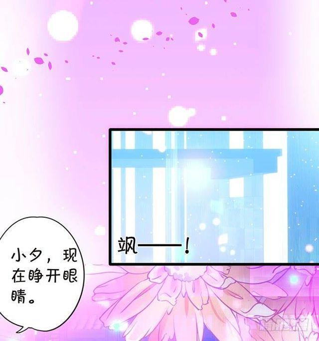 小夕这漫天流萤是我对你的承诺~(1/2)-第147话