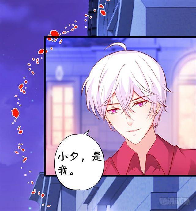 小夕，被大白强吻！(1/2)-第173话