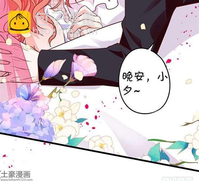 小夕，我定护你一世周全！(1/2)-第179话