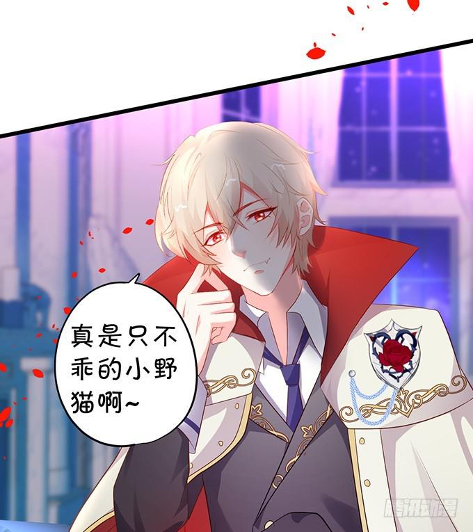 我绝不会让家主受伤！(1/2)-第187话