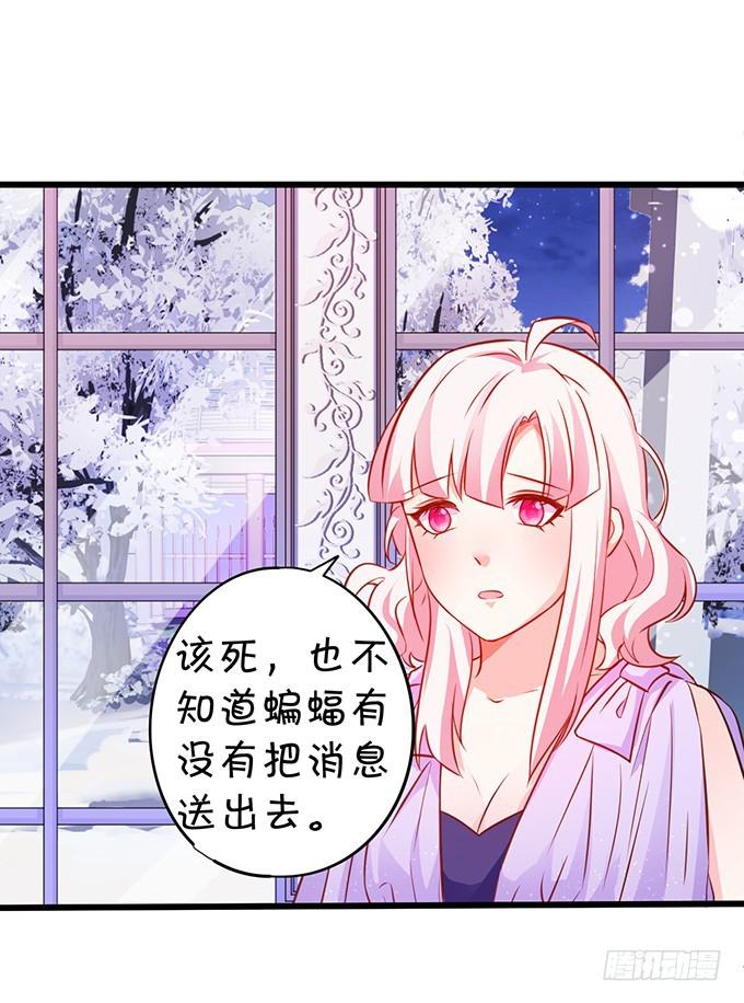 我绝不会让家主受伤！(1/2)-第187话