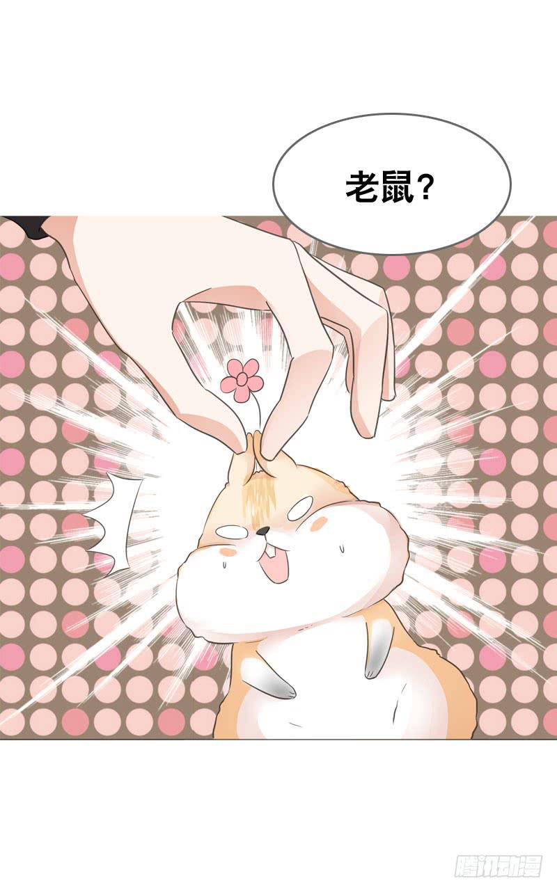 067 炙手可热的远遥-第67话