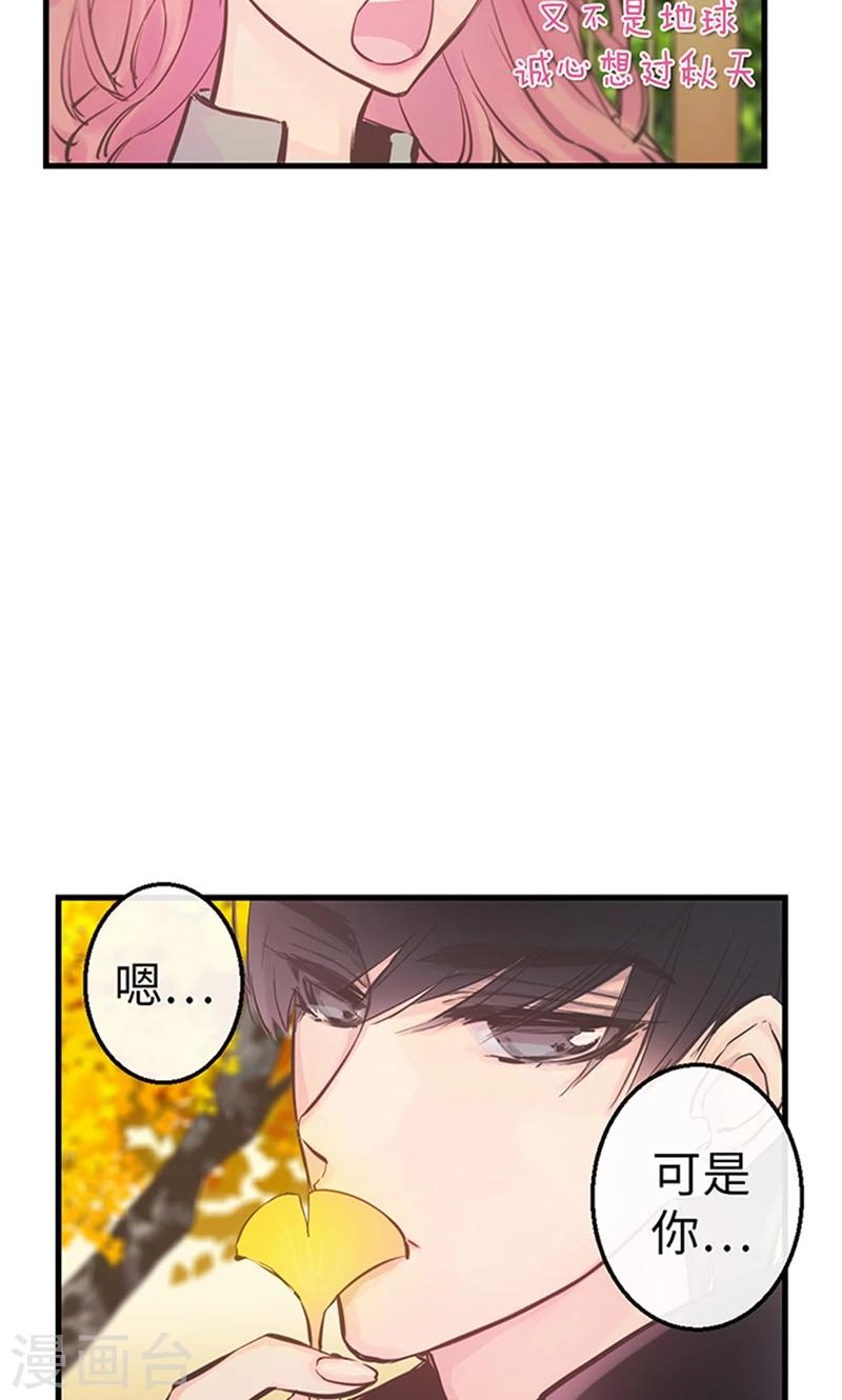 第47话 是魔法还是幻象-第47话