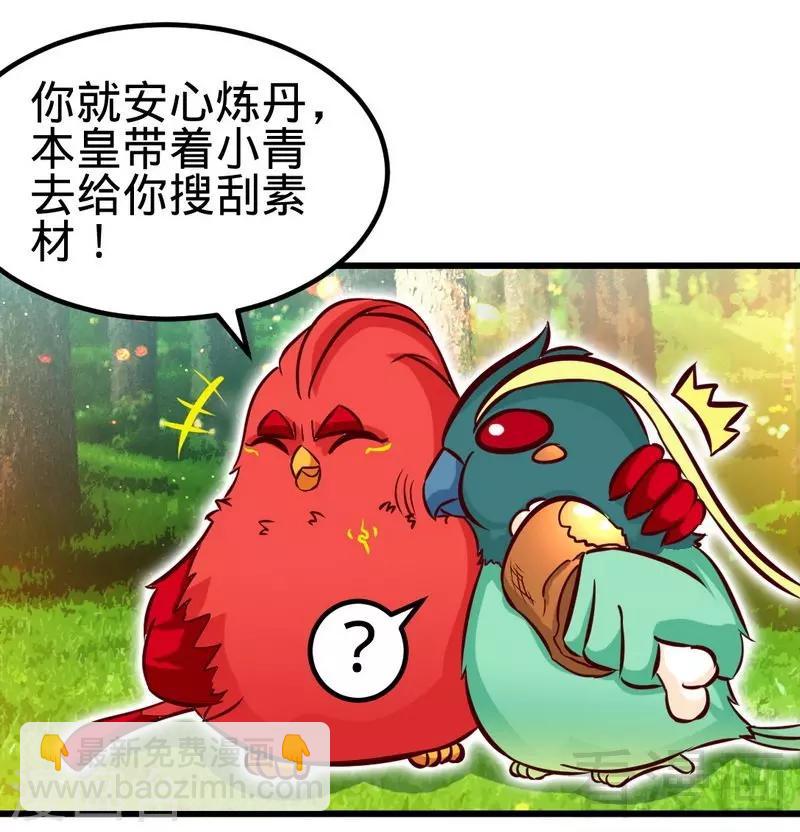 第116话 炼丹灵师-第117话