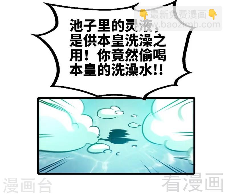 第96话 傲娇鸟-第97话