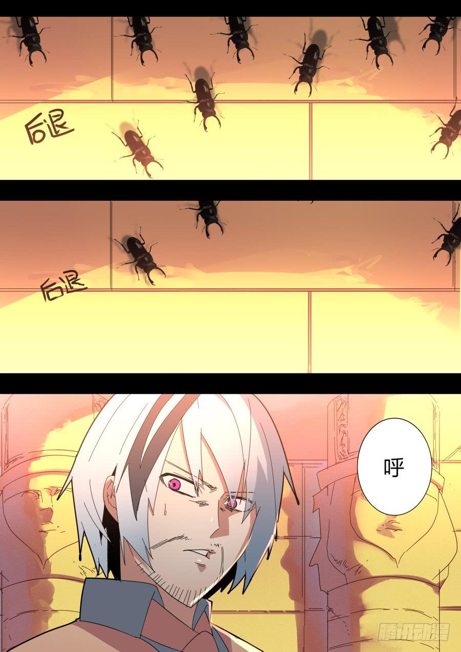 🍲重生魔术师 神庙 第8页