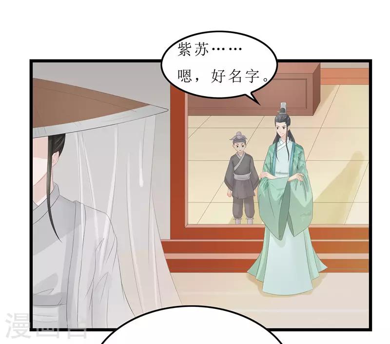 第11话 紫苏姑娘-第11话