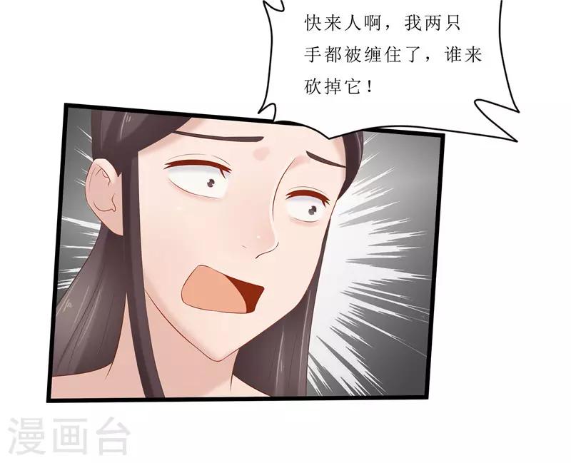 第35话 别碰那朵花！-第35话