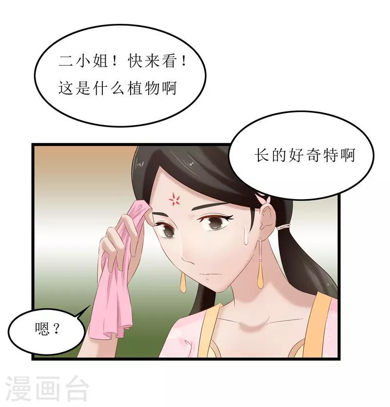 第35话 别碰那朵花！-第35话