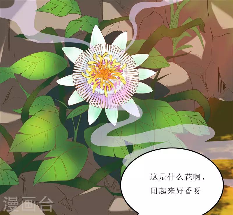 第35话 别碰那朵花！-第35话