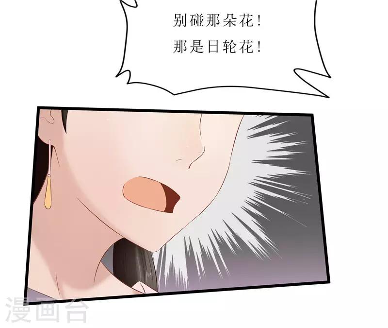 第35话 别碰那朵花！-第35话