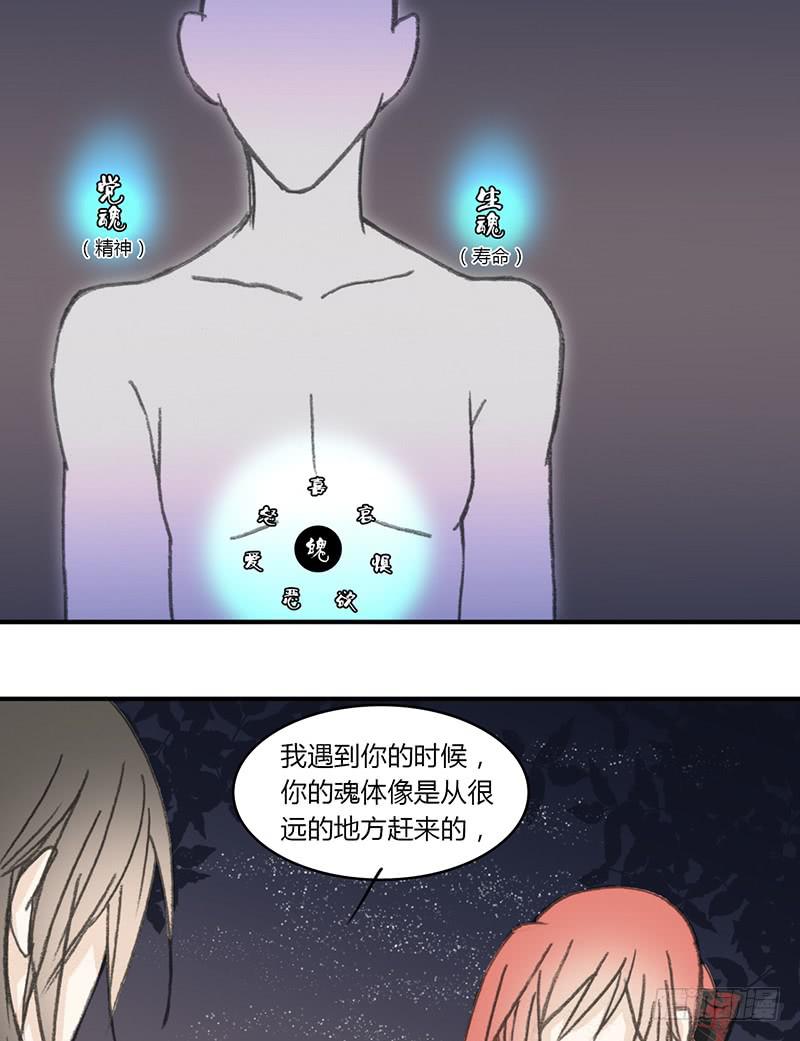 🍲重生只为你 初见之处 第12页