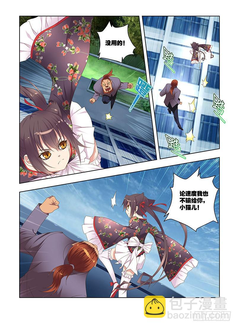 177,激斗，猫与狮-中-第179话
