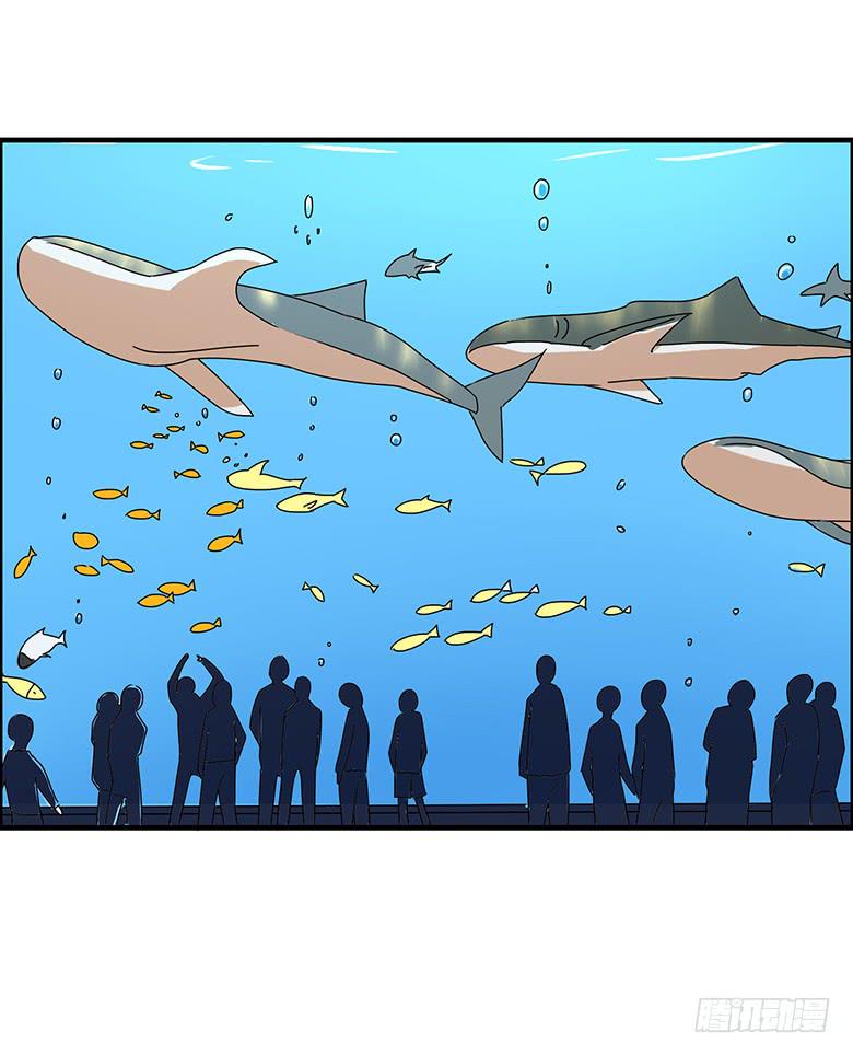 第二季 97.水族馆游玩-第197话