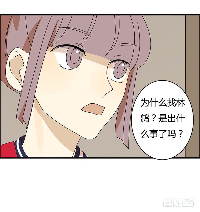 第三季 03.林鸫的过去-第203话