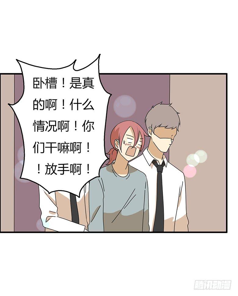 第三季 55.林鸫被抓-第255话