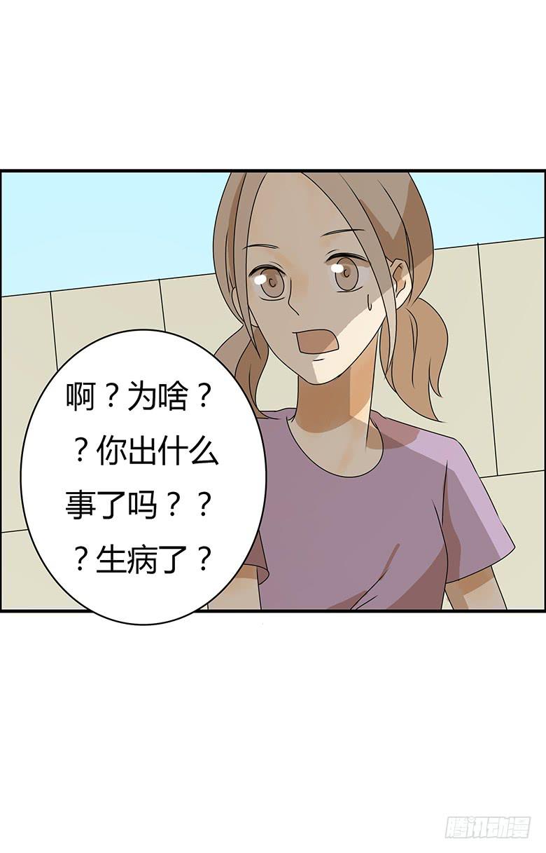 第三季 95.没事~我养你-第295话