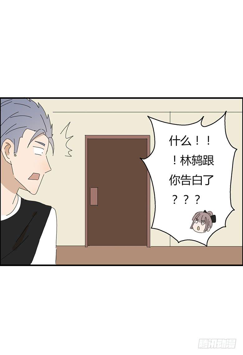 第一季 55.安慰林鸫-第55话