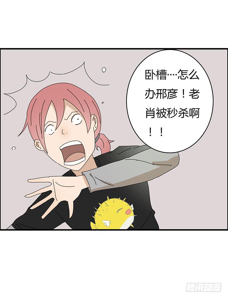 第一季 71.肖言耀VS波儿-第71话