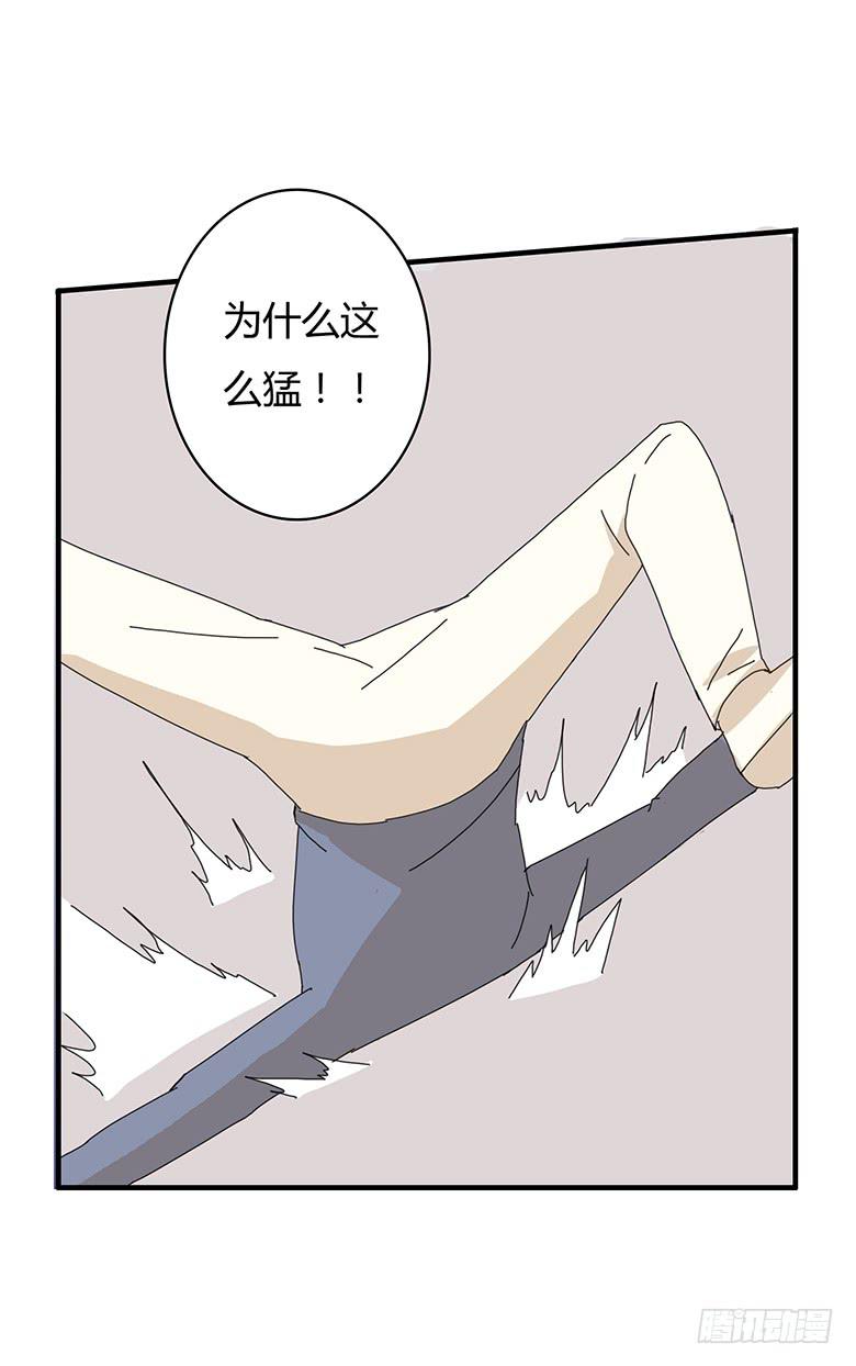 第一季 87.被揍出翔的林鸫-第87话