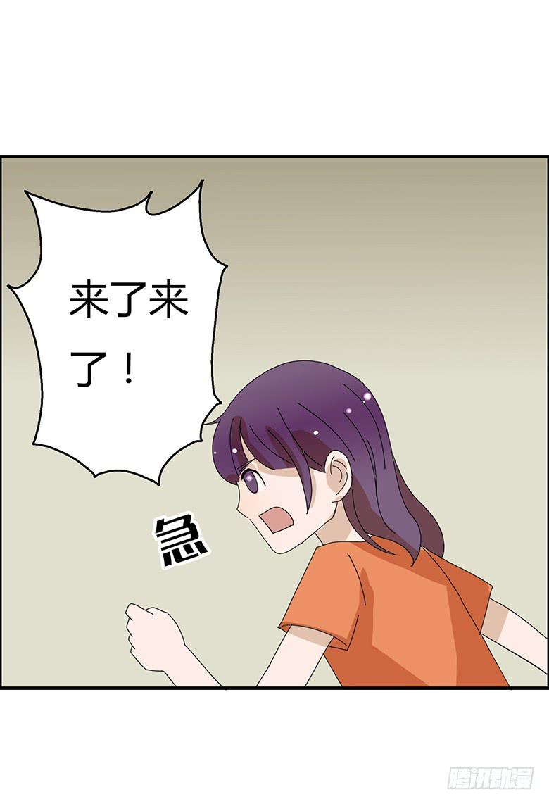 第一季 99.林鸫的心意-第99话