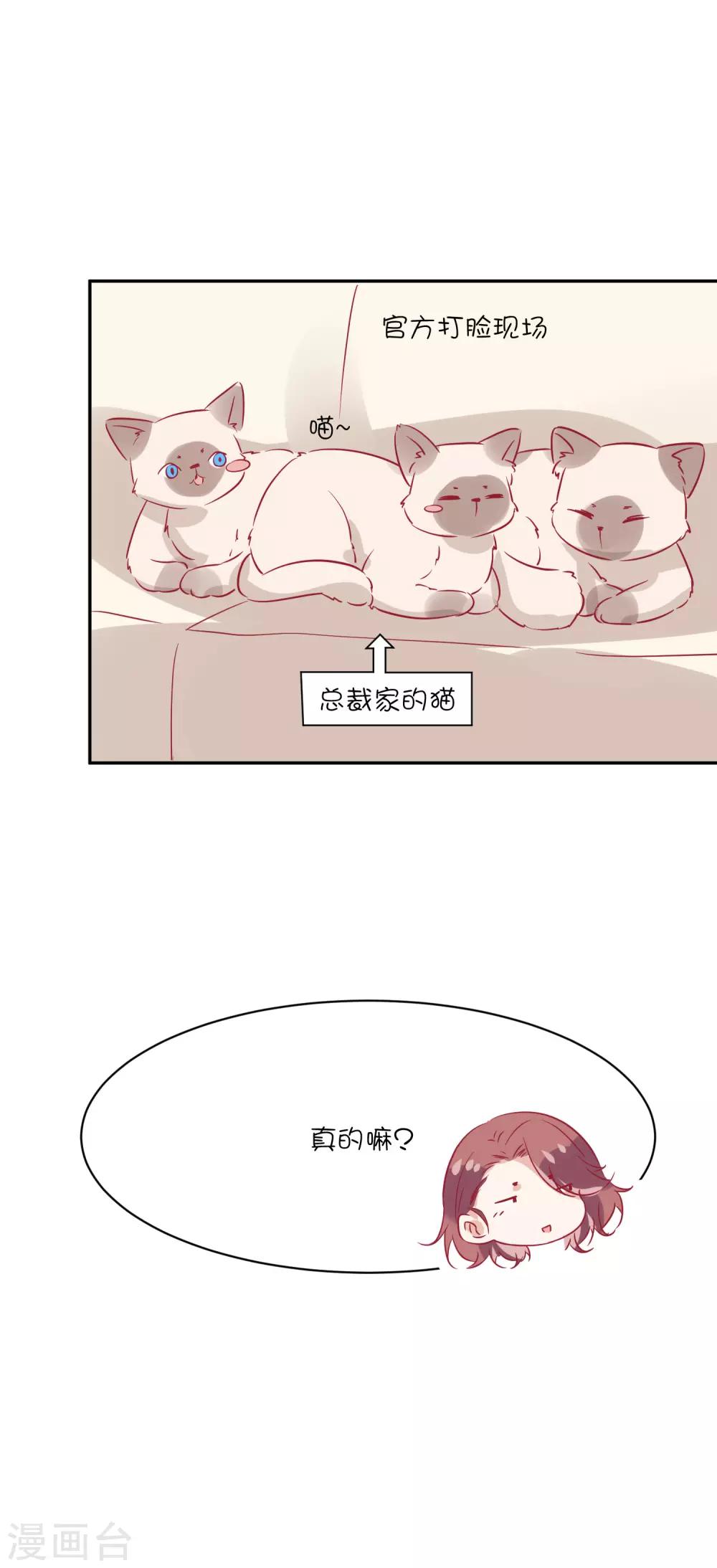 第21话 你们是男女朋友吗？-第29话