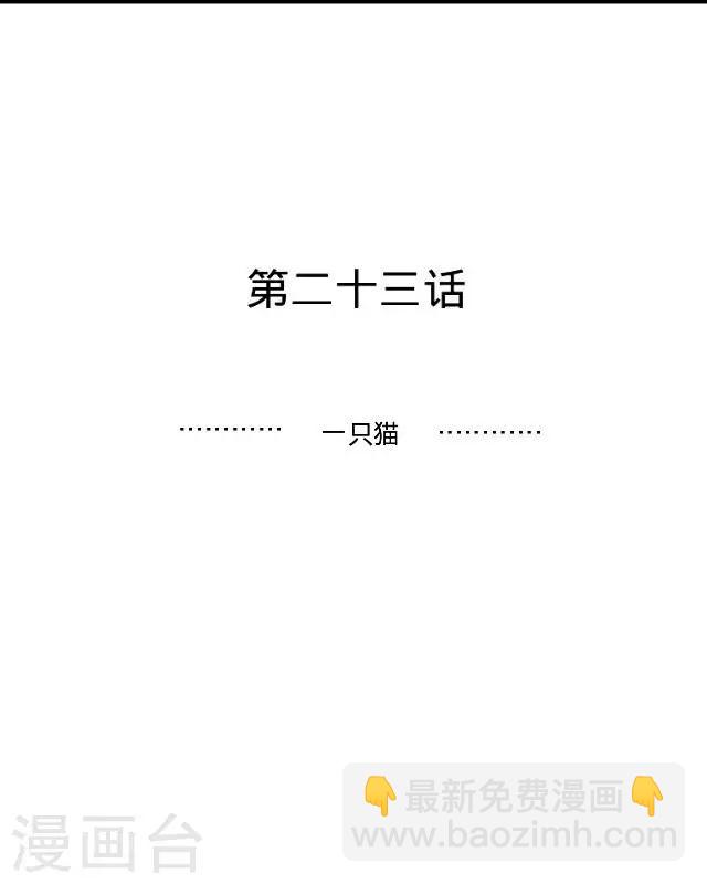 第23话 一只猫-第23话
