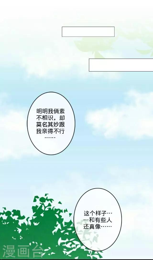 第23话 一只猫-第23话