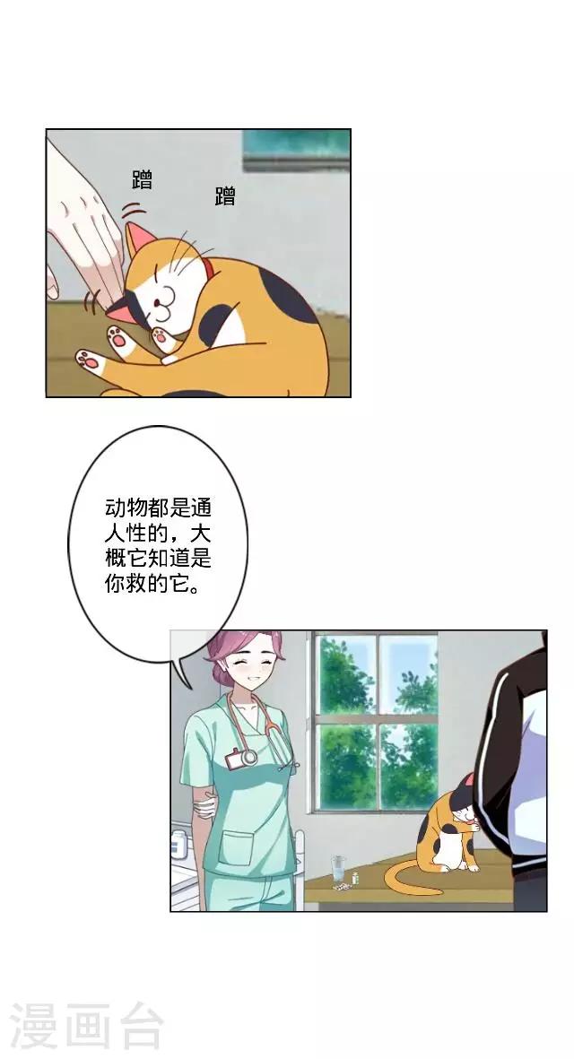 第23话 一只猫-第23话