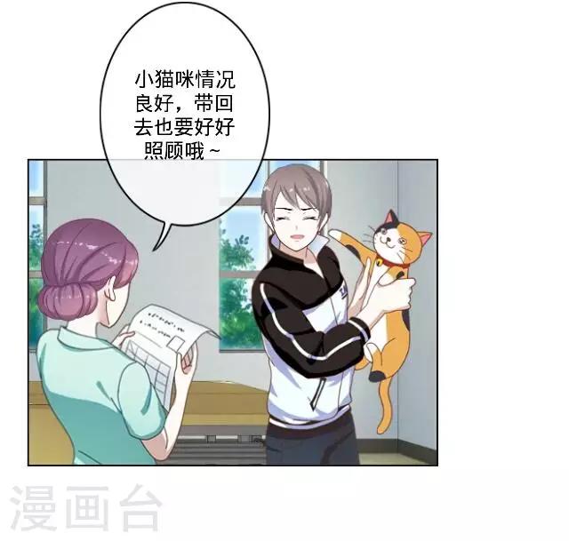 第23话 一只猫-第23话