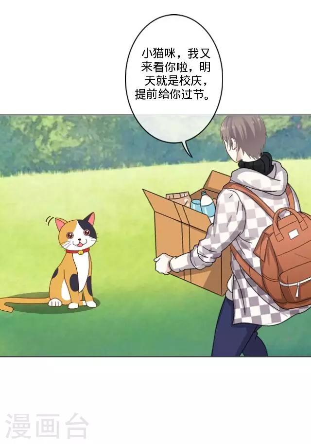 第23话 一只猫-第23话