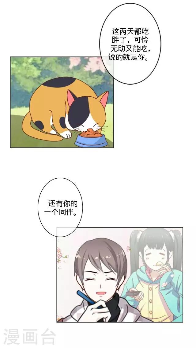 第23话 一只猫-第23话