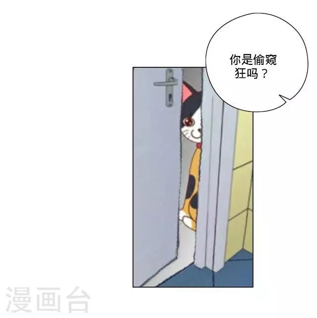 第25话 相遇-第25话
