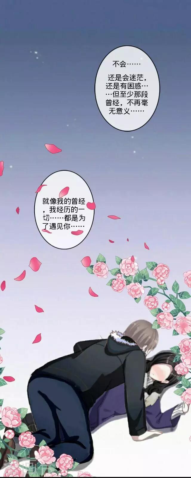 最终话 最好的安排-第27话