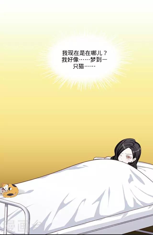 最终话 最好的安排-第27话