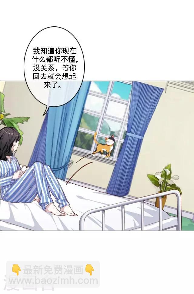 最终话 最好的安排-第27话