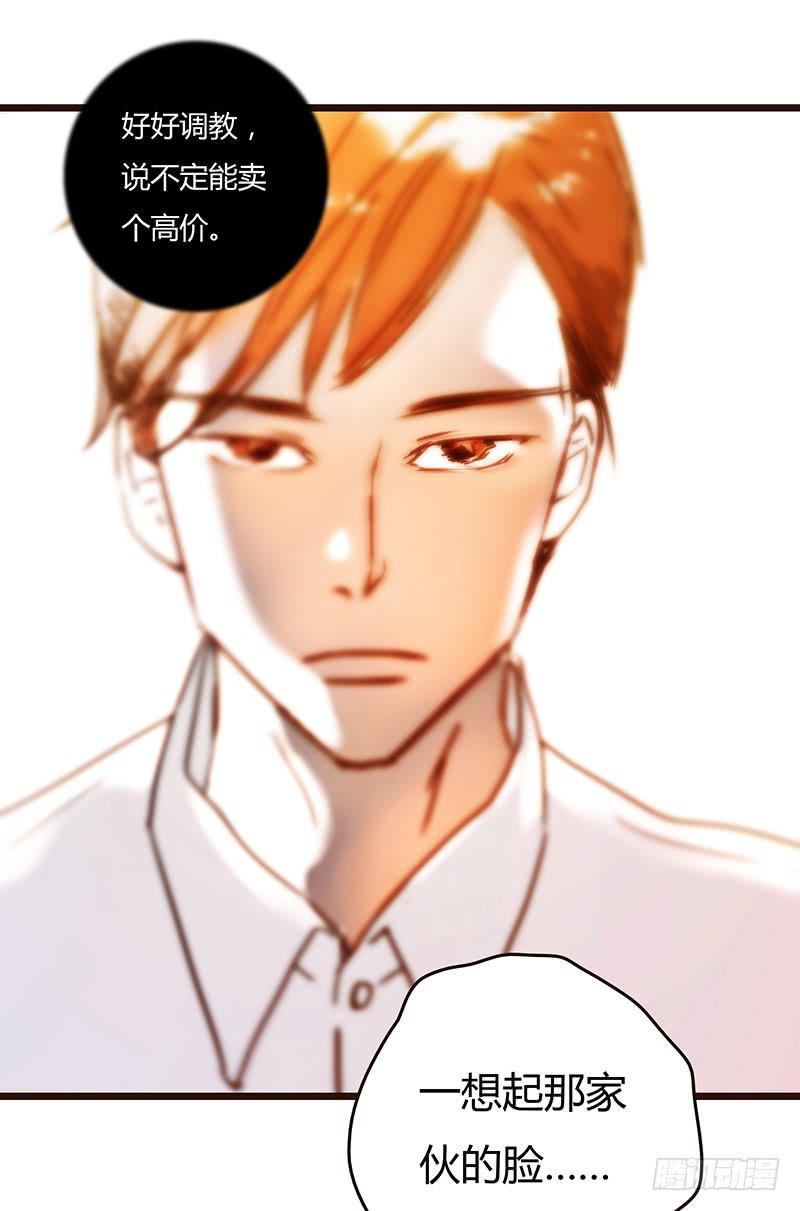 19话 他恩赐的新衣(1/2)-第19话