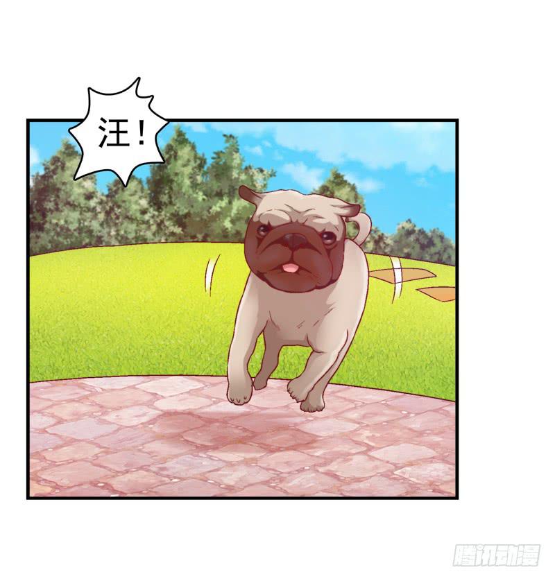 再做一个好梦-第15话