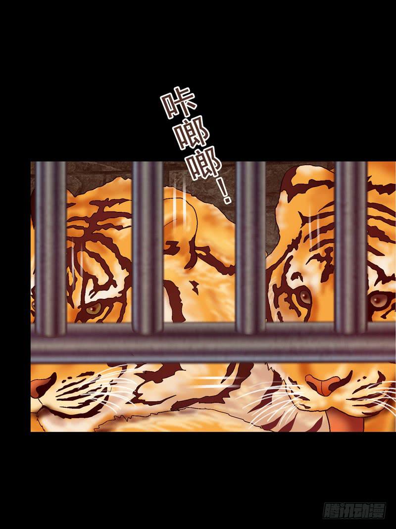 猛虎出笼-第31话