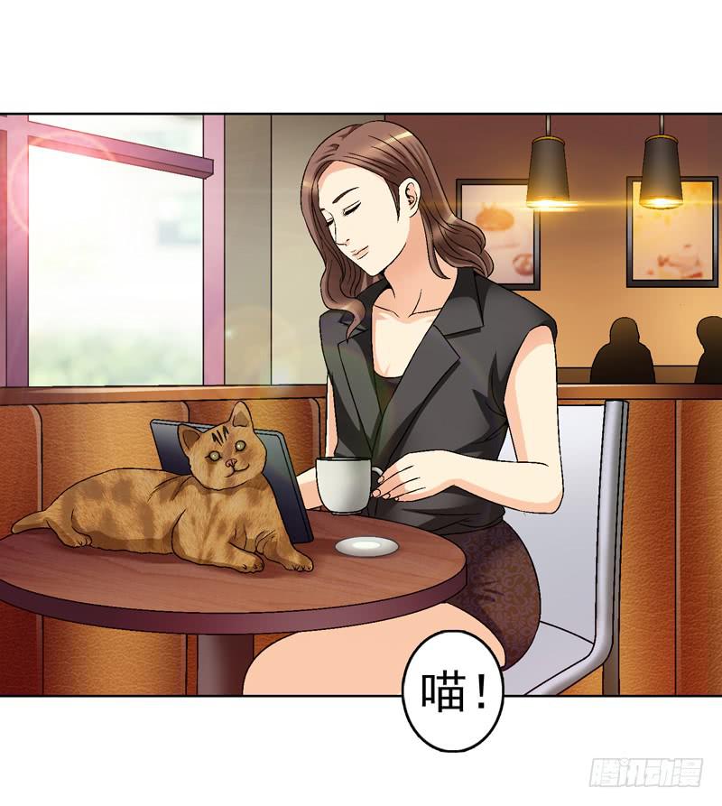 红猫爪咖啡-第35话