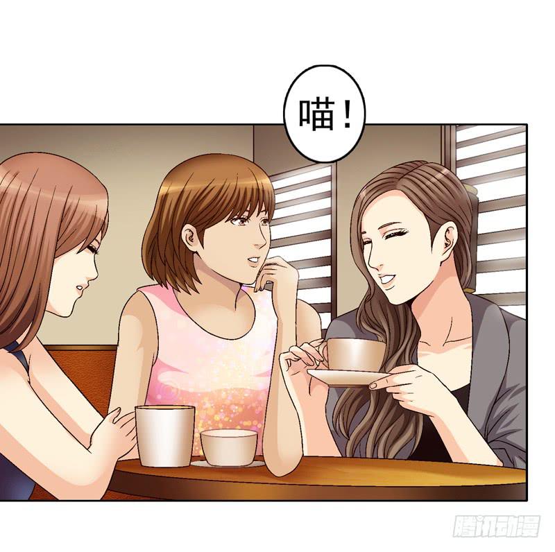 红猫爪咖啡-第35话