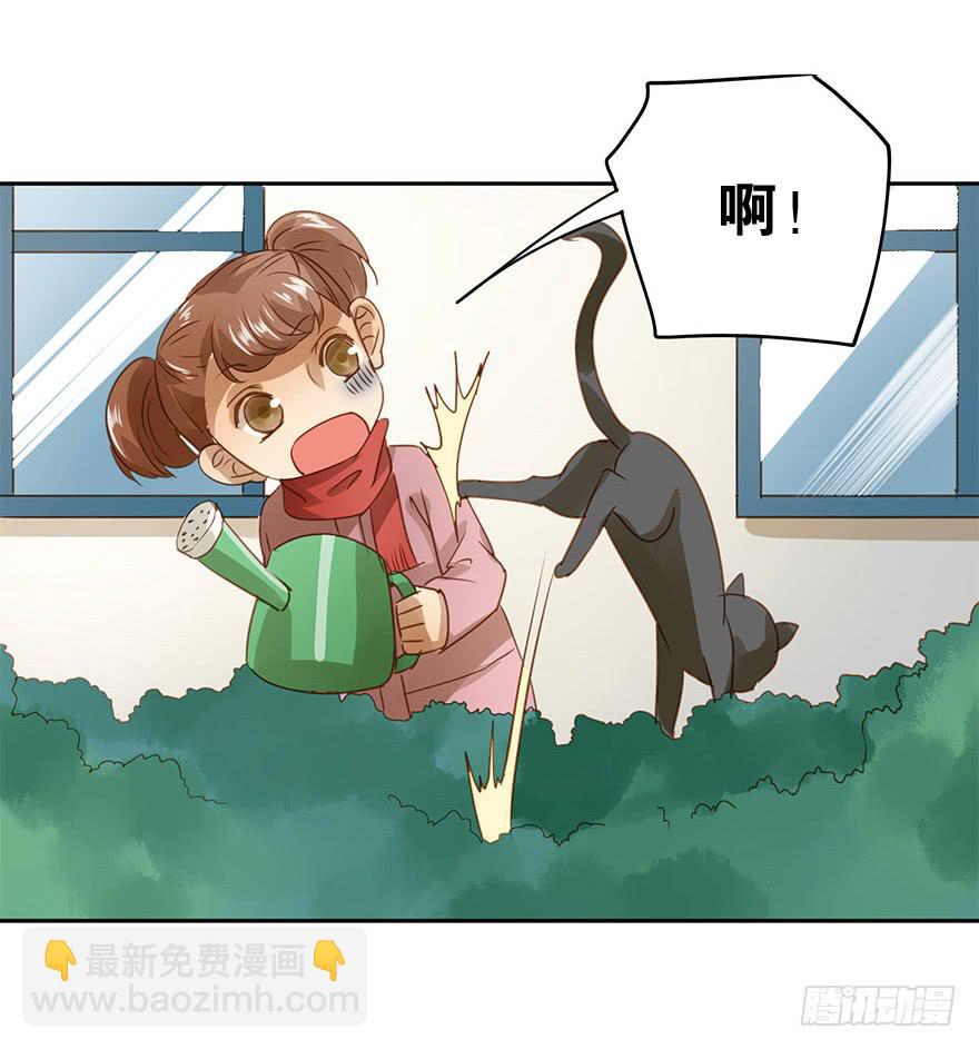 胆小鬼(1/2)-第51话