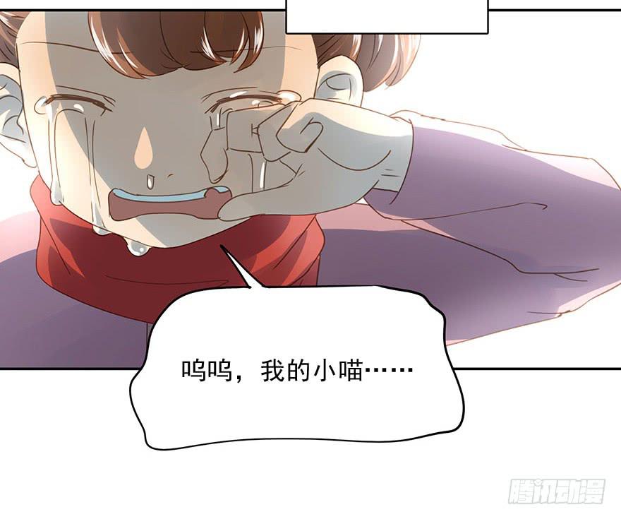 胆小鬼(1/2)-第51话