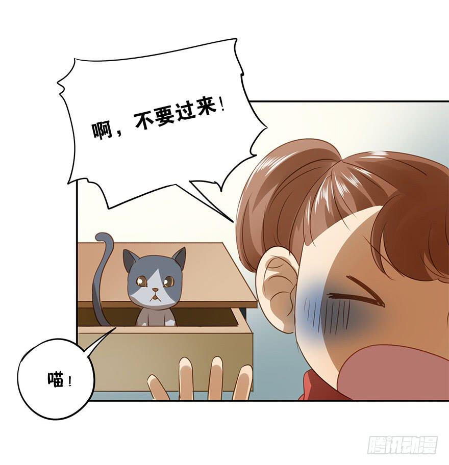 胆小鬼(1/2)-第51话
