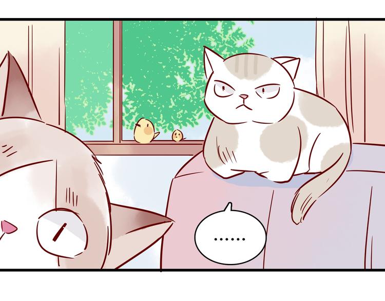 🍡10001次恋爱 第41话  重逢我爱 第40页