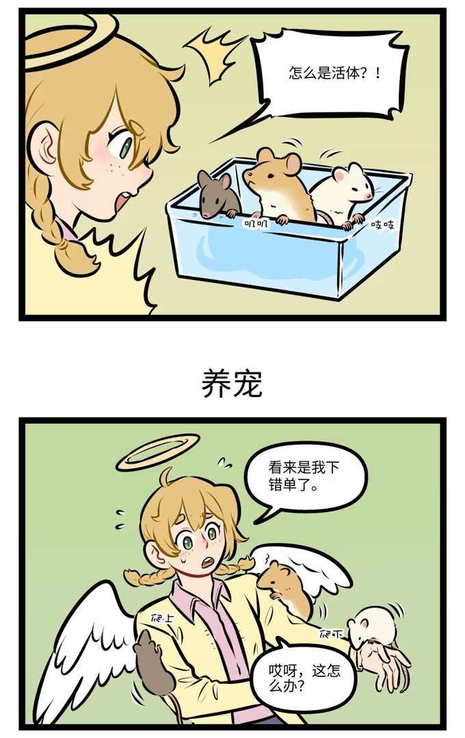 1024 错发-第1023话