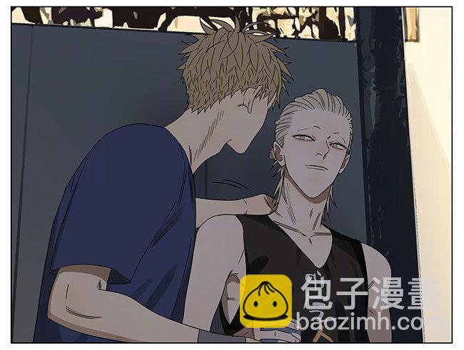 志愿-第243话
