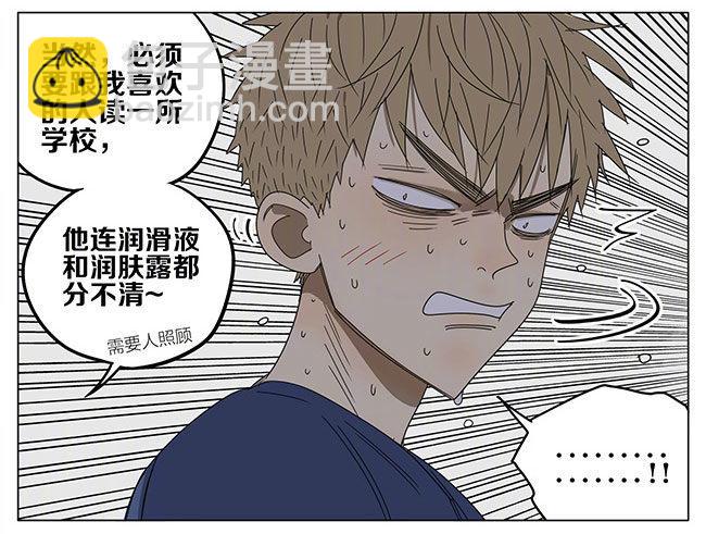 志愿-第243话