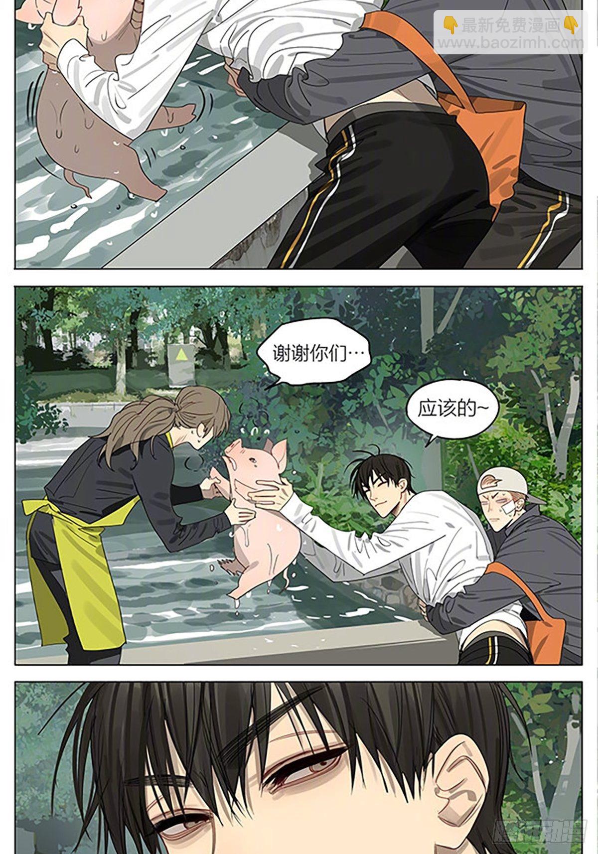 小猪-第385话
