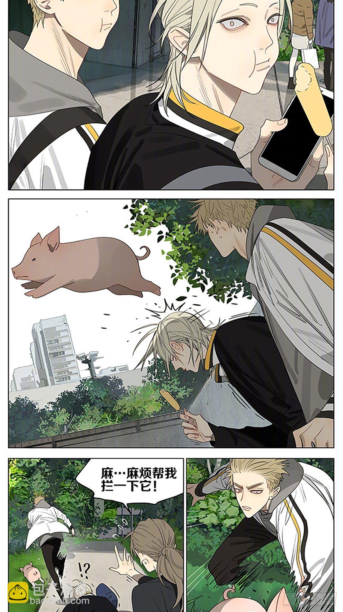 小猪-第385话